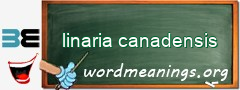 WordMeaning blackboard for linaria canadensis